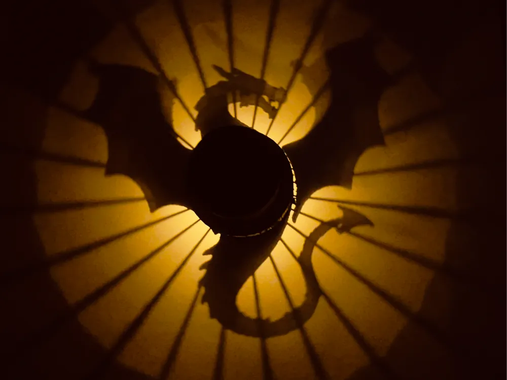 Dragon Shadow Lamp